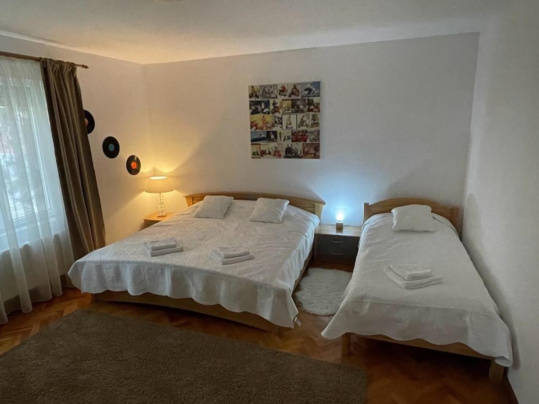 Crisan 40 Casa Muntean 100Mp 3Camere 3Paturi 1 Canapea 2 Dormitoare Parcare Тимишоара Екстериор снимка