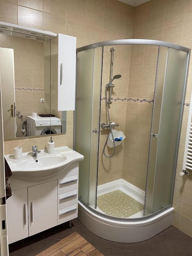 Crisan 40 Casa Muntean 100Mp 3Camere 3Paturi 1 Canapea 2 Dormitoare Parcare Тимишоара Екстериор снимка