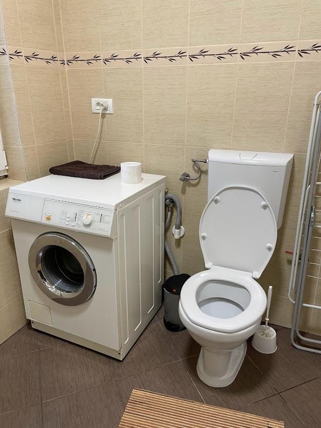 Crisan 40 Casa Muntean 100Mp 3Camere 3Paturi 1 Canapea 2 Dormitoare Parcare Тимишоара Екстериор снимка